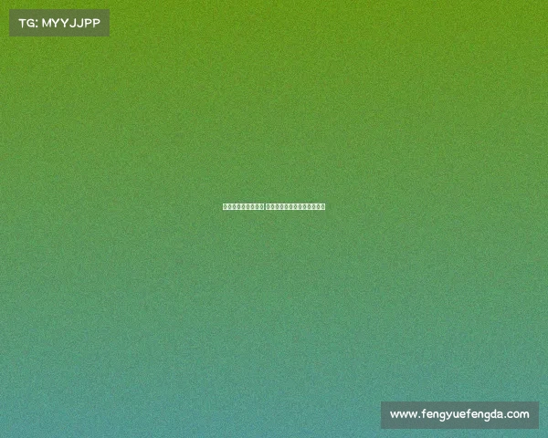 海港训练蒋光太缺席 古斯塔沃徐新成为新战术核心